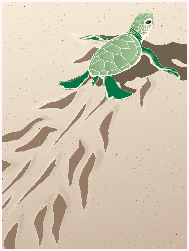 Created with Adobe Illustrator.